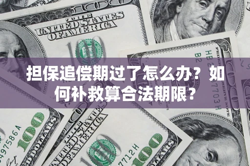 济南担保追偿期过了怎么办？如何补救算合法期限？