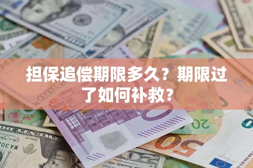 济南担保追偿期限多久？期限过了如何补救？