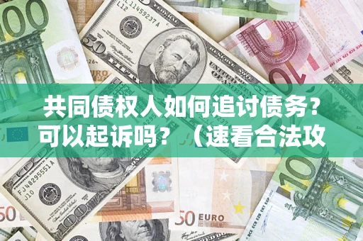 济南共同债权人如何追讨债务？可以起诉吗？（速看合法攻略）