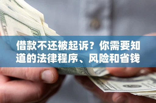 济南借款不还被起诉？你需要知道的法律程序、风险和省钱技巧