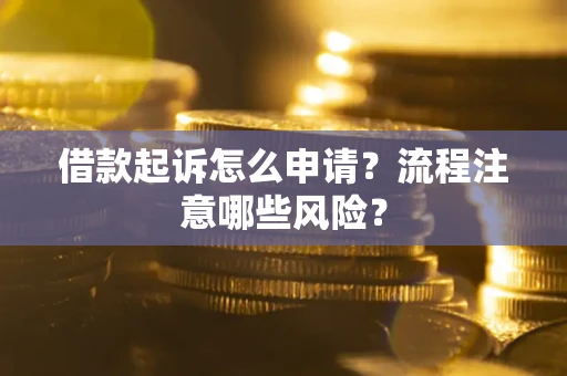济南借款起诉怎么申请？流程注意哪些风险？