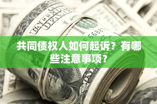 济南共同债权人如何起诉？有哪些注意事项？